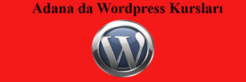 wordpress kursları Maltepe wordpress kursları Maltepe wordpress kursları Maltepe wordpress kursları Maltepe wordpress kursları Maltepe wordpress kursları Maltepe wordpress kursları Maltepe