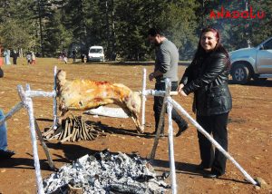 Fotoğraf Gezileri Maltepe